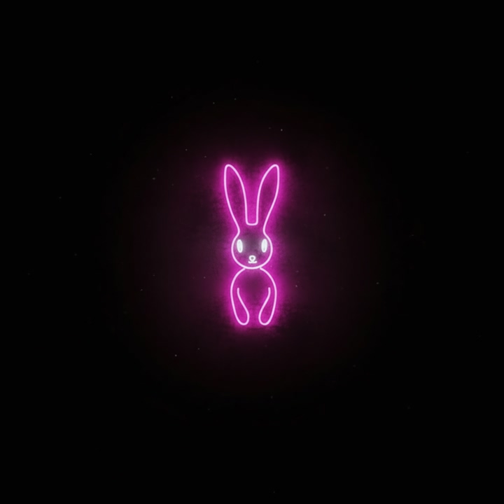 TheRabbit